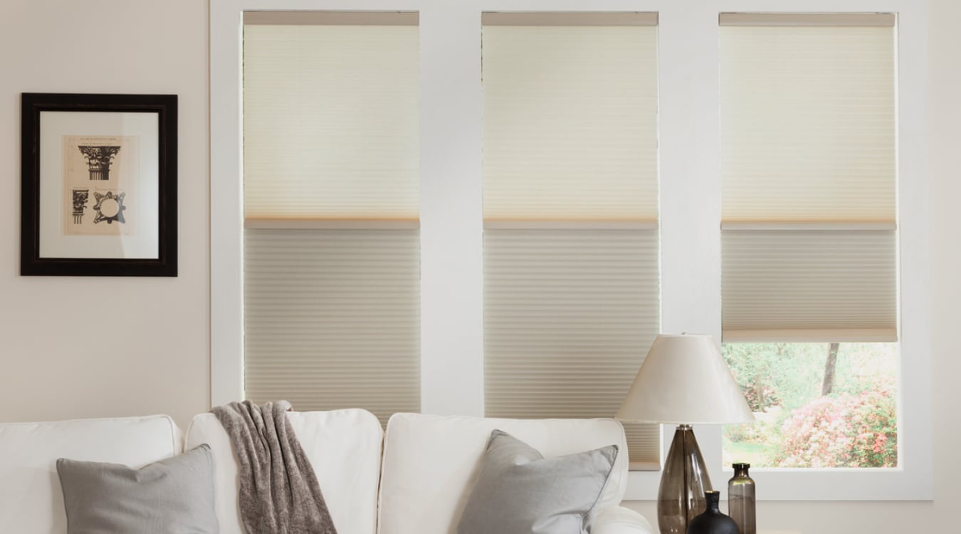Cellular shades in a Clearwater living room